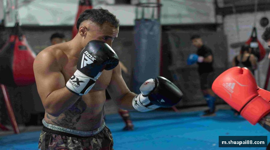 优游登录注册5.0🌍【赛事集结】从英超到 NBA，你的专属赛事库！